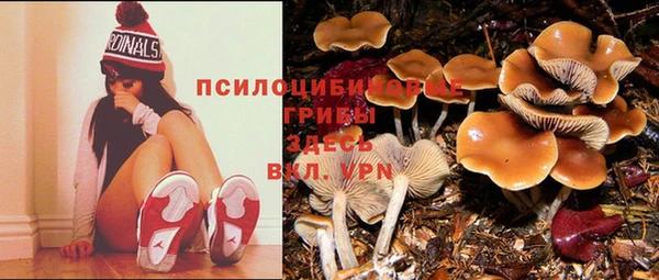 героин Алексин